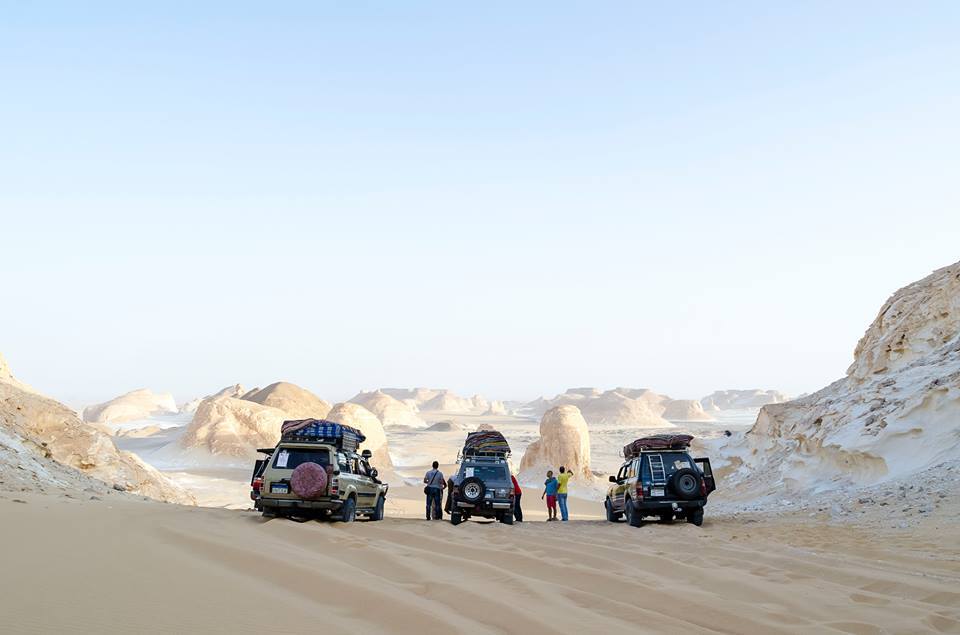 Egypt western desert discoveries