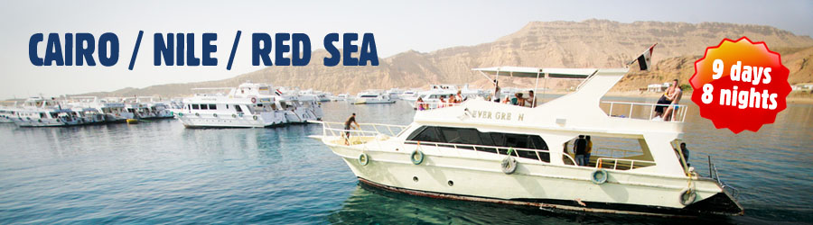 Egypt desert hunting fishing tour