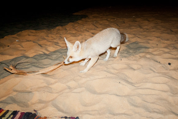 Bir Al-Ghaba Egypt western desert
